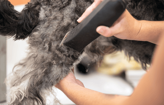 The Environmental Impact of Blades: A Deep Dive for Dog Groomers using Groomsaber