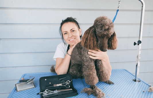 A Comprehensive Guide to Blade Drives on Dog Grooming Clippers: Recognizing and Resolving Issues