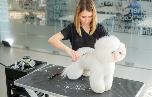 Building a Strong Client Relationship: Understanding Dog Behavior During Grooming Sessions